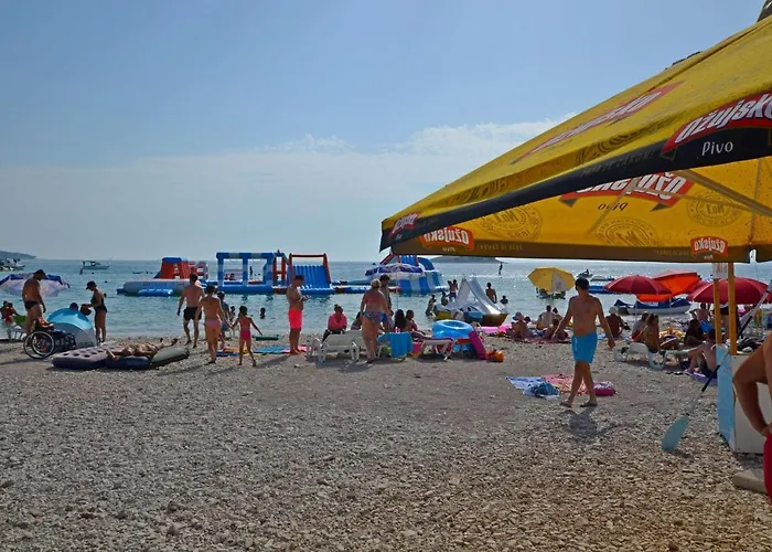 Olea 로고즈니차